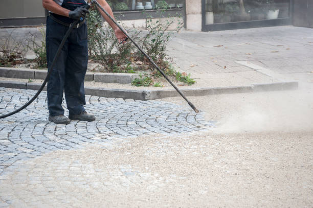 Animal Enclosure Cleaning in Belzoni, MS
